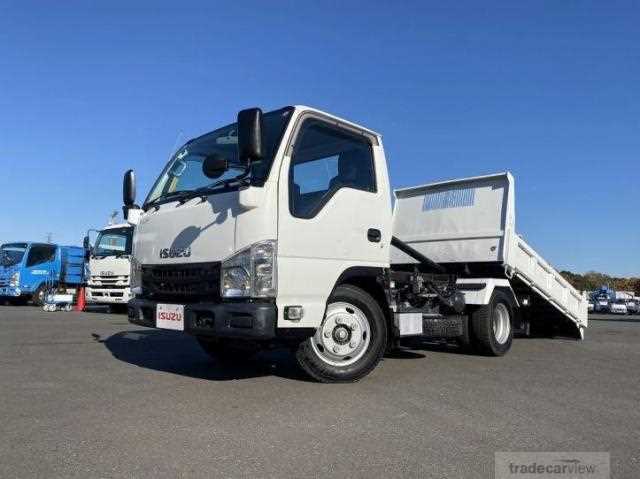 2018 Isuzu Elf Truck