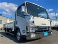 2017 Isuzu Elf Truck