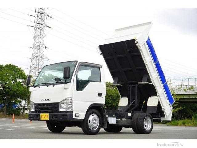 2019 Isuzu Elf Truck