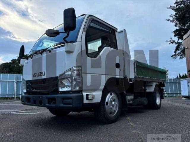 2017 Isuzu Elf Truck