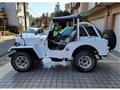 1980 Mitsubishi Jeep