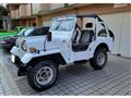 1980 Mitsubishi Jeep