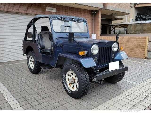 1990 Mitsubishi Jeep