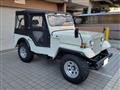 1981 Mitsubishi Jeep