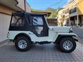 1981 Mitsubishi Jeep