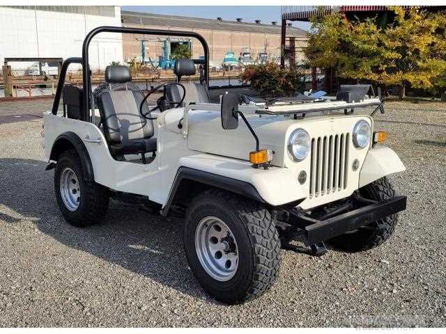 1981 Mitsubishi Jeep