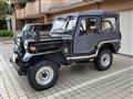 1996 Mitsubishi Jeep