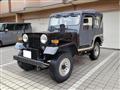 1996 Mitsubishi Jeep