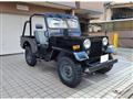 1995 Mitsubishi Jeep