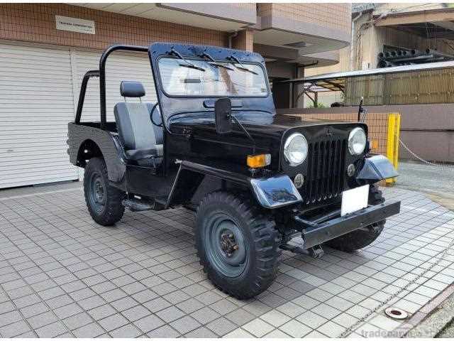 1995 Mitsubishi Jeep