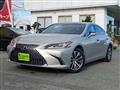 2019 Lexus Other