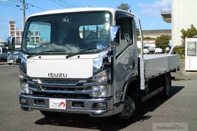 2020 Isuzu Elf Truck