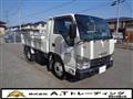 2015 Isuzu Elf Truck