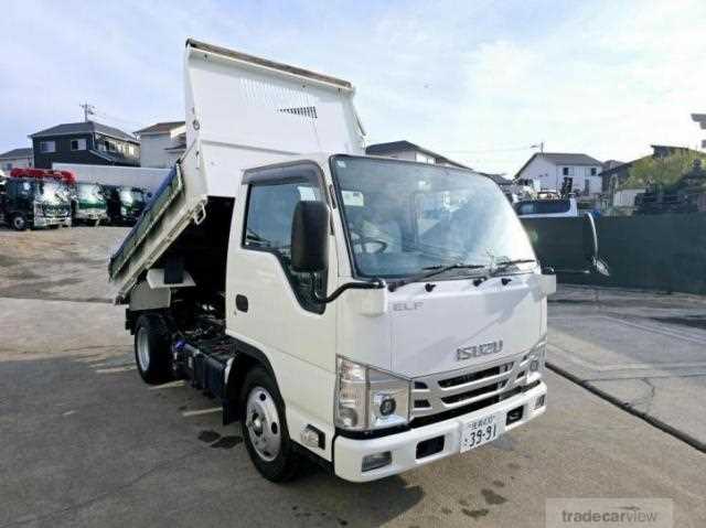 2021 Isuzu Elf Truck