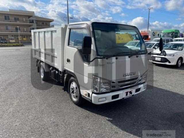 2019 Isuzu Elf Truck