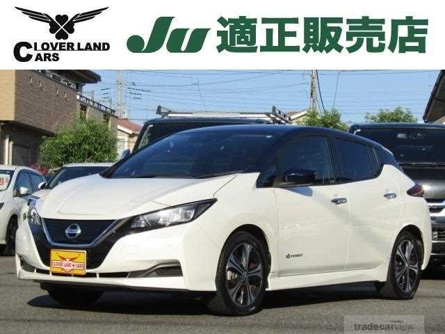 2019 Nissan Leaf