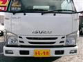 2019 Isuzu Elf Truck