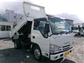 2019 Isuzu Elf Truck