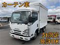 2017 Isuzu Elf Truck