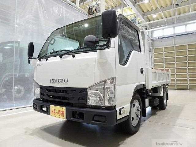 2019 Isuzu Elf Truck