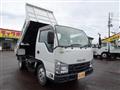 2019 Isuzu Elf Truck