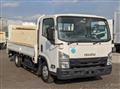 2017 Isuzu Elf Truck