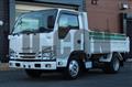 2017 Isuzu Elf Truck