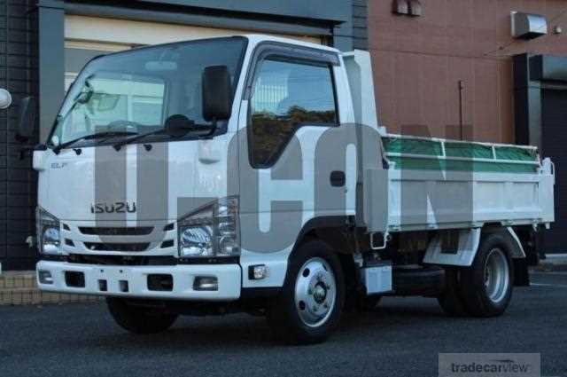 2017 Isuzu Elf Truck