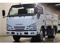 2017 Isuzu Elf Truck