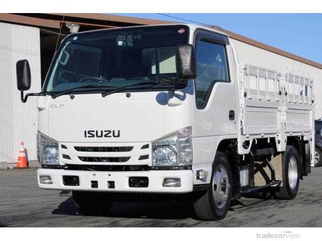 2017 Isuzu Elf Truck