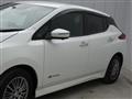 2019 Nissan Leaf