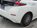 2019 Nissan Leaf