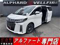 2020 Toyota Alphard G