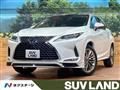 2021 Lexus RX