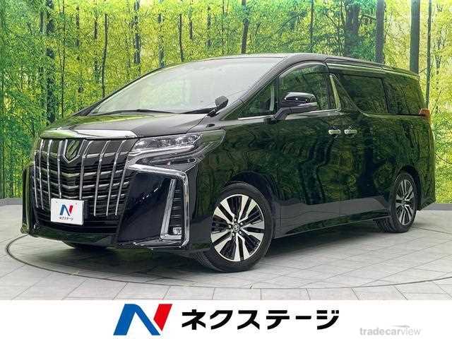 2019 Toyota Alphard G