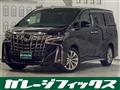 2020 Toyota Alphard G