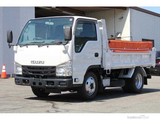 2017 Isuzu Elf Truck