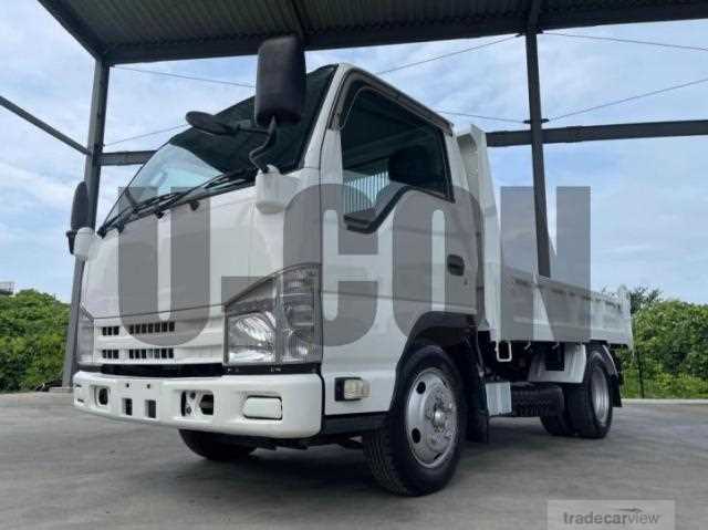 2013 Isuzu Elf Truck