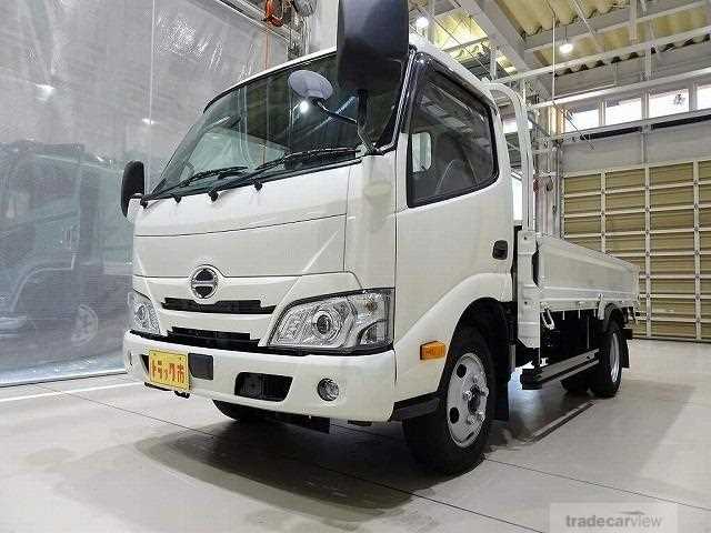 2019 Hino Dutro