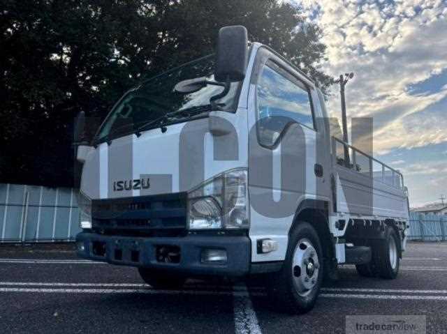 2010 Isuzu Elf Truck