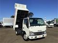 2020 Isuzu Elf Truck