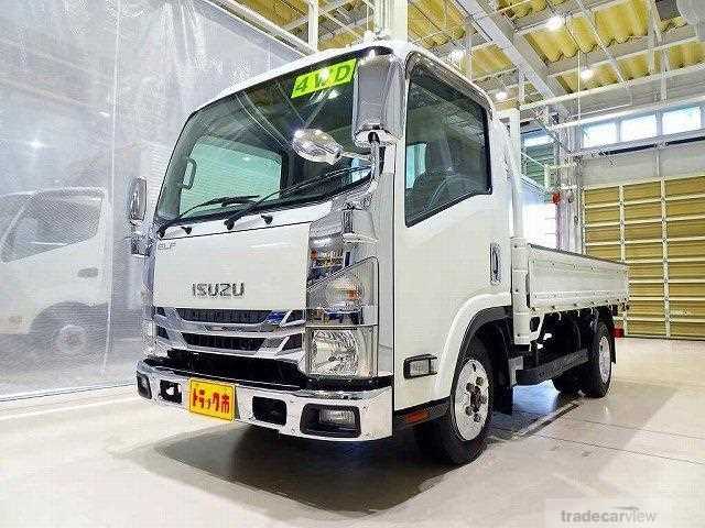 2019 Isuzu Elf Truck