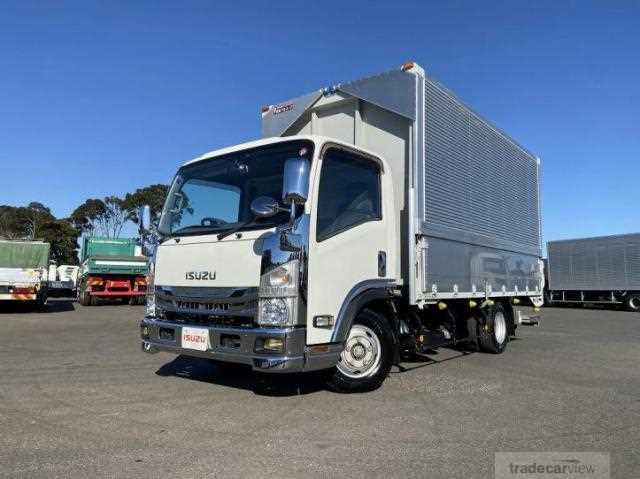 2019 Isuzu Elf Truck