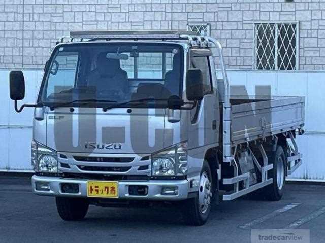 2019 Isuzu Elf Truck