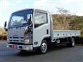 2019 Isuzu Elf Truck