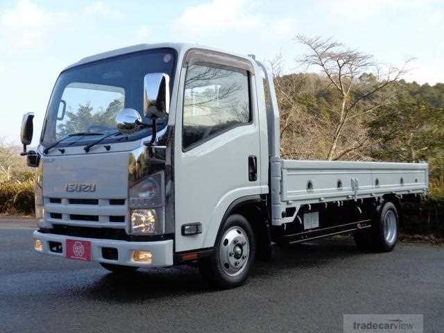 2019 Isuzu Elf Truck