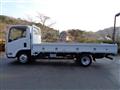 2019 Isuzu Elf Truck