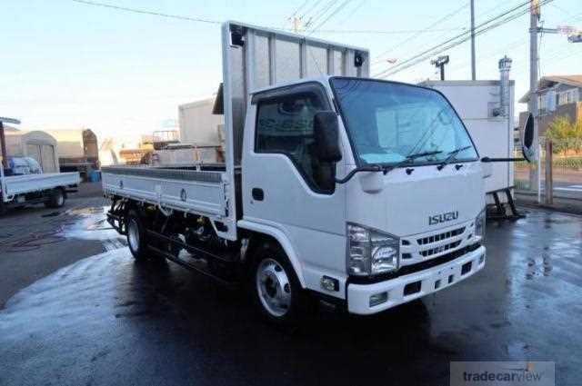 2019 Isuzu Elf Truck