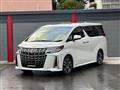 2022 Toyota Alphard G