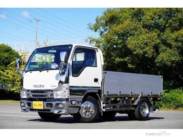 2020 Isuzu Elf Truck